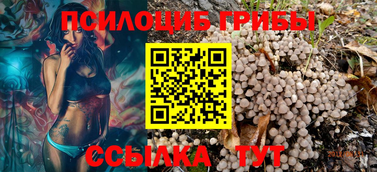 Галлюциногенные грибы GOLDEN TEACHER Коркино